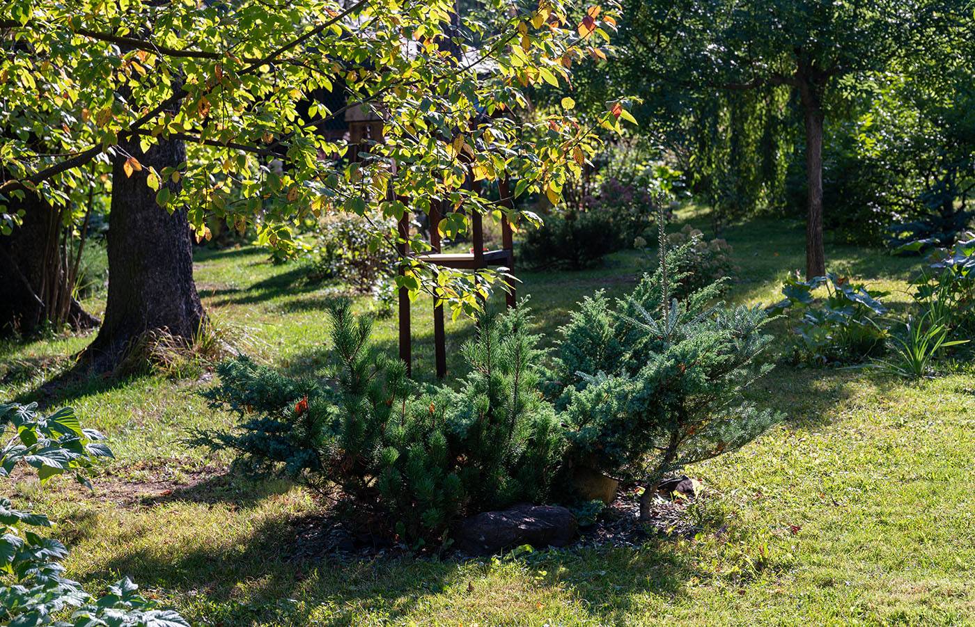 Проект Переделкино